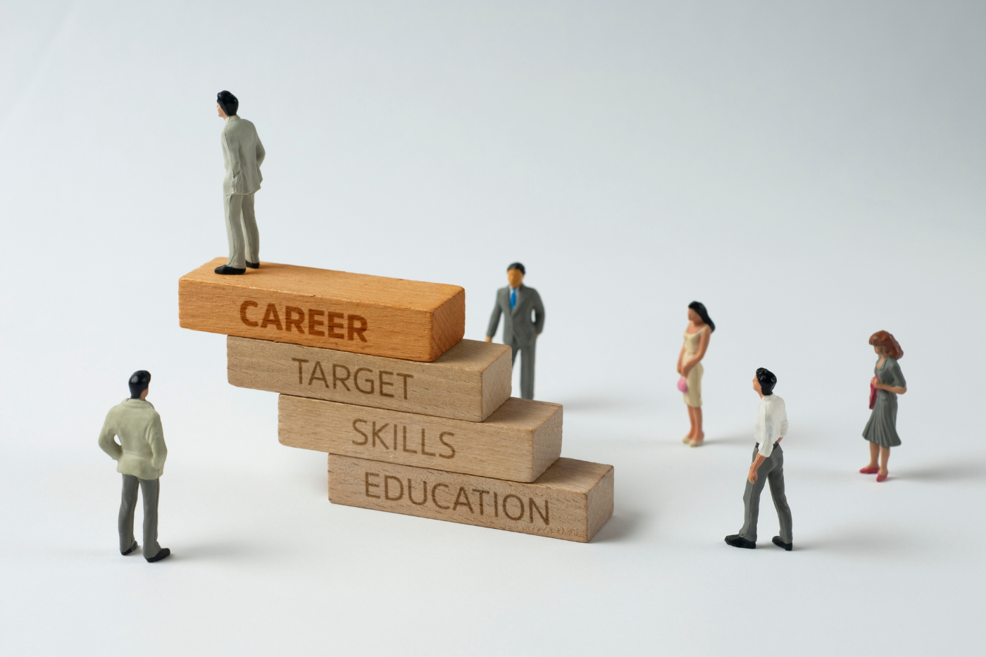 Career Guidance consultation